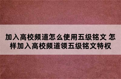 加入高校频道怎么使用五级铭文 怎样加入高校频道领五级铭文特权